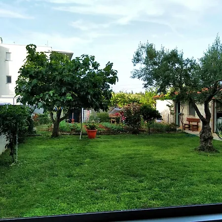 David Studio Novigrad (Istria)